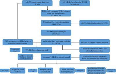 Development of an Individualized Ubiquitin Prognostic Signature for Clear Cell Renal Cell Carcinoma